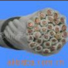 廠家直銷RVVY/RVVP耐油電線實力廠家耐油線