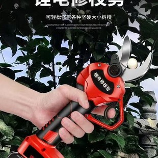 ���M��늄���֦����������ʽ�@ˇ�@�ִ�֦��Ӳ֦�늼�������