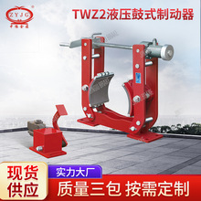 ���� TYWZ2-�_̤ʧ��Ƅ��� �l���_̤�Ƅ���