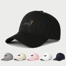 ���w���̽��D�c������ñ������{���������eñ�m�ϴ�������