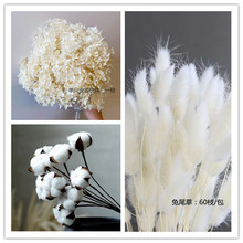 ?羳linsLҾܛbY βbɫ