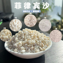 菲律宾沙免洗鱼缸寄居蟹垫材饲养造景装饰海沙珊瑚贝壳砂厂家直销