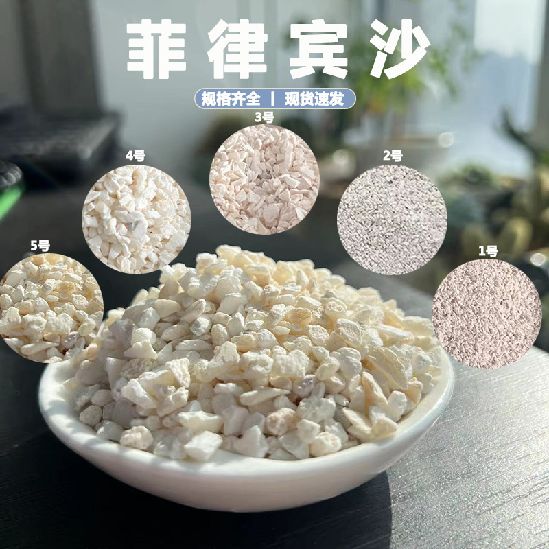 菲律宾沙免洗鱼缸寄居蟹饲养砂造景海沙天然珊瑚贝壳砂厂家直销