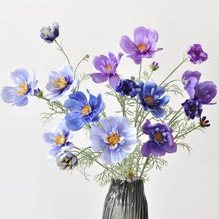 ���滨ֲ�q�ʺ�˹�ռٻ����s�ҾӔ[���b�����֧���ɣ���ٻ�