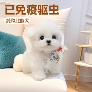 ���ƿ»�Ȯ������w���������Lë��ë�»��o�lȮ��ͥ��HȮ���pȮ