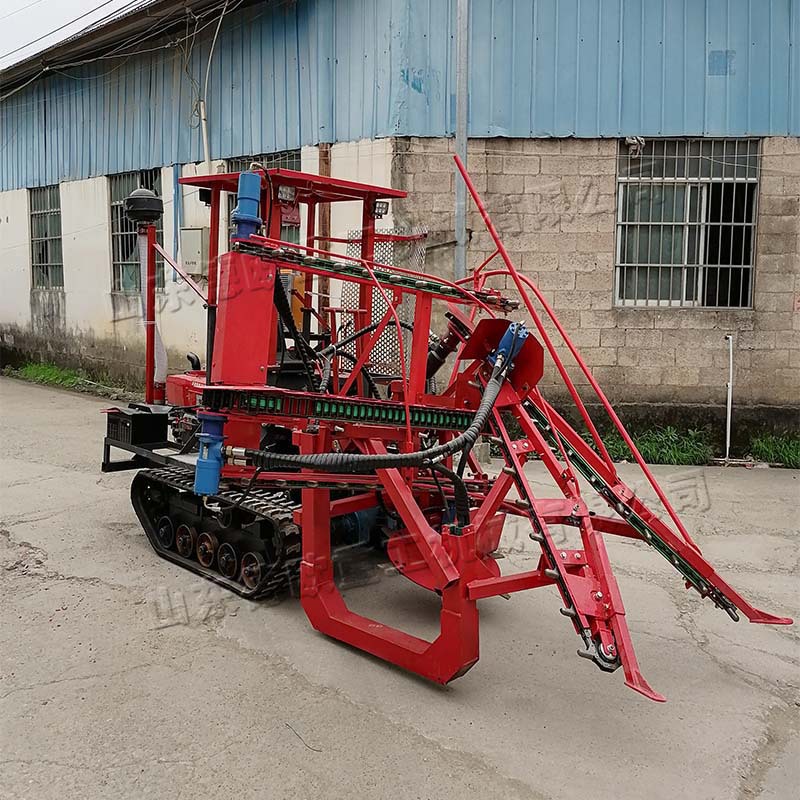 履带式分段式甘蔗收获机 座驾式广西糖蔗收割机 全地形果蔗收割机