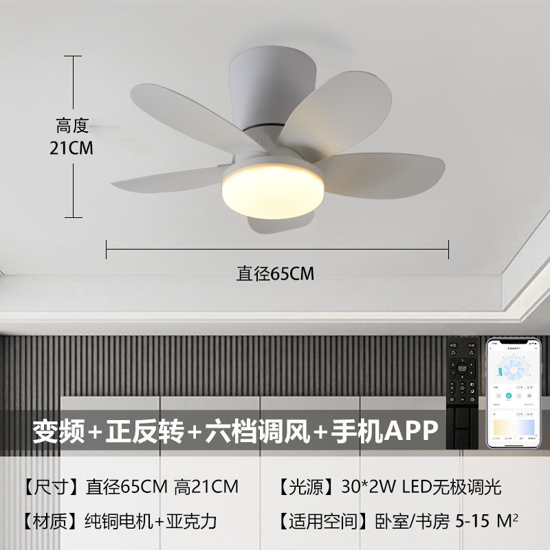 25인치 5잎 흰색