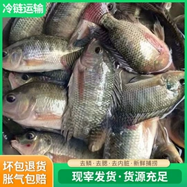 鱼类;鲜/活禽类