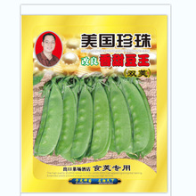 �T�����N�繫˾ֱ�������߲˷N��  ��������Ć]������(�p�v)