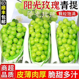 ꖹ�õ���������rˮ����������o����ӡ������������������S����