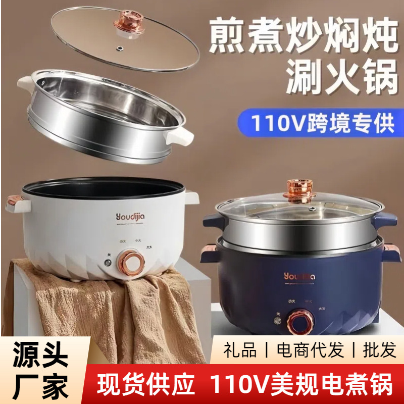 110V多功能电煮锅国外跨境香港日本台湾美国韩国家用宿舍电火锅