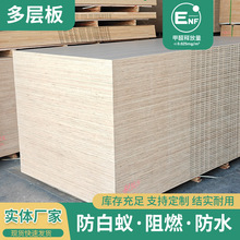 lȫݶ ƶӰzϰ๦BӰ