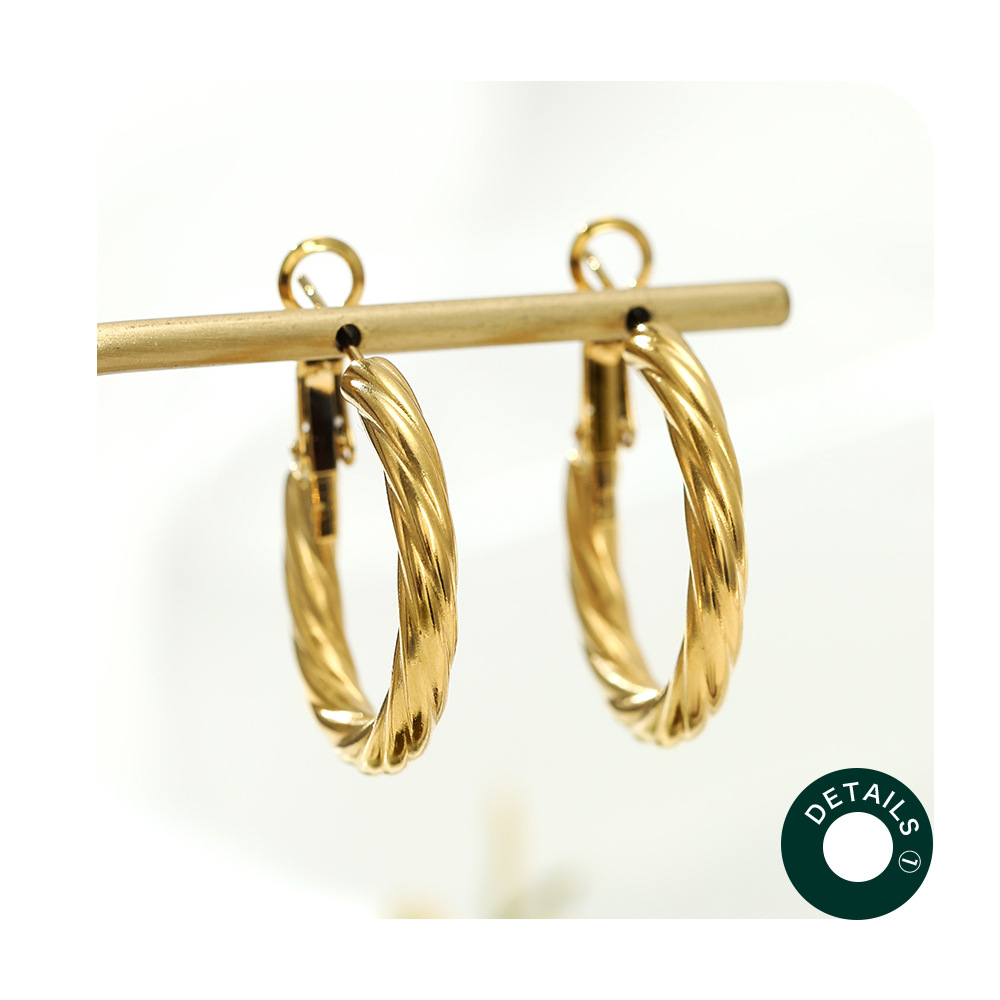 Fashion Circle Stainless Steel Plating Earrings 1 Pair