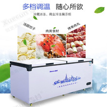 雪村顶开门商用立式小冰柜 冷藏冷冻家用商用冰箱 超市海鲜冷柜
