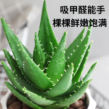 �����҃ȳ���ȩ�����՚�ֲ���k���������ƶ����ļ����B��