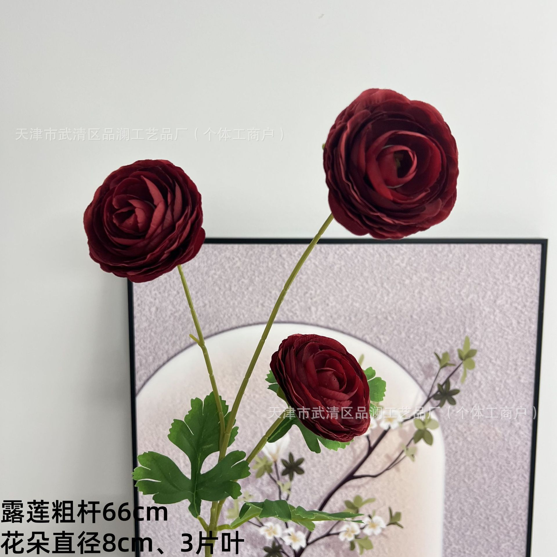 멜라루카 연꽃 두꺼운 줄기