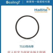 ӢRHalliteT533ĥ ˹Ȧ ķҺ֧έh