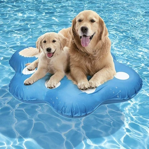 Надувная игрушка для игр в воде водный аквапарк диван домашний питомец