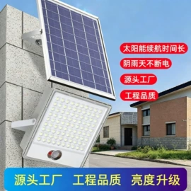 太阳能灯;投光灯;野营/露营灯