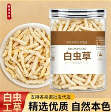 白虫草中药材地蚕批发虫草参虫草蚕土冬虫瓶装30克电商一件代发