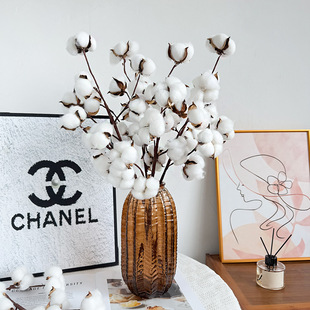 ����10�^�޻�֦��Ȼľ�޻��^�ɻ��ٻ��}�Q�b����Ĕz���ߔ[����