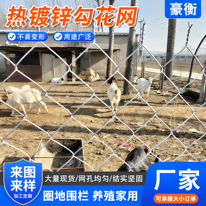 热镀锌勾花网农场草原镀锌铁丝网圈地养殖围网果园镀锌围栏网