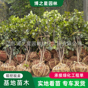 �𻨘����ļ��𻨴����^�p����ֲ�����԰��¹�ͥԺ�ߗU�𵤹�����