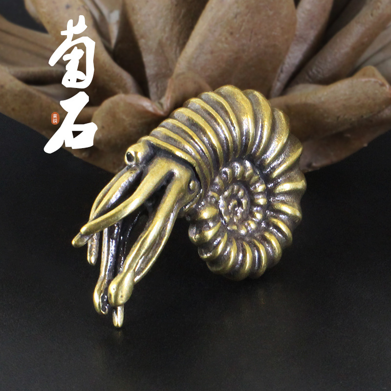 黄铜做旧菊石鹦鹉螺海洋蛇石金属工艺品装饰桌面微景观造景小摆件