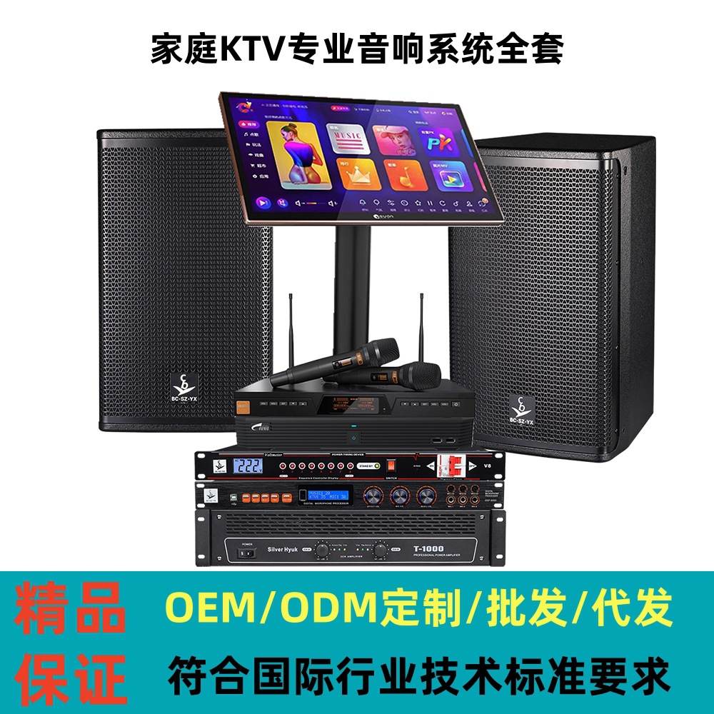 Sistema de audio profesional integral para bares, uso doméstico, salas de conferencias, estudios de baile, conjunto de audio KTV, audio para karaoke.