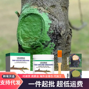 Yegbong ���������τ� ֲ��TĨ����U�����ľ�������T�a��