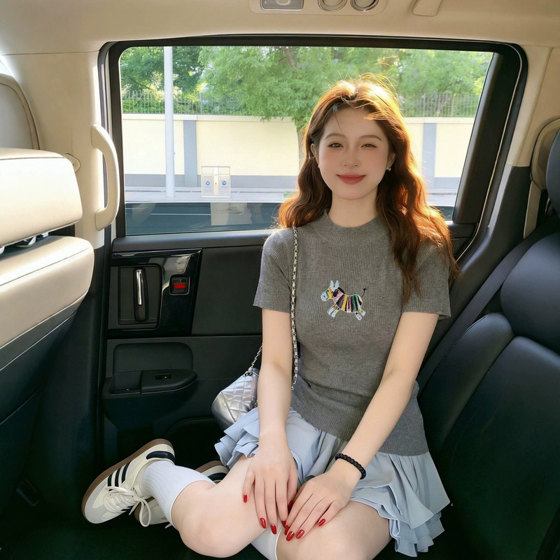 Petite Rainbow Horse Embroidered Half-High Collar Slim-Fit Knit Top for Women, Unique and Super Stylish, Slimming Short-Sleeve Top for Summer