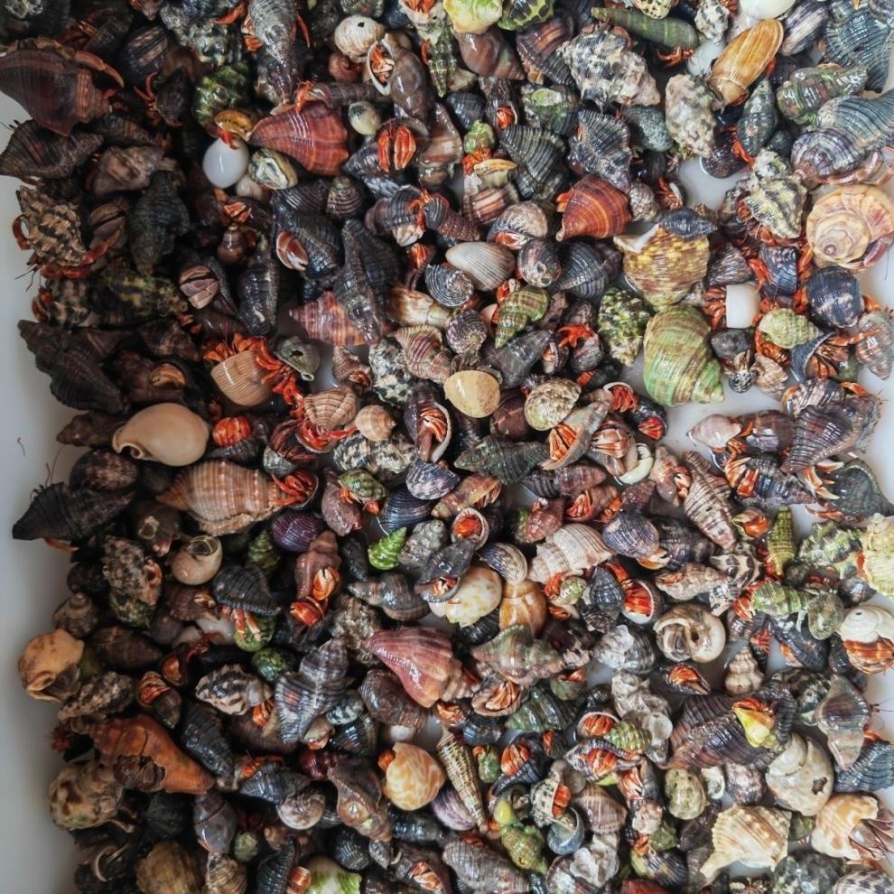 5e628189-cb46-4cd2-9f4a-95ac03ea48b4.jpe