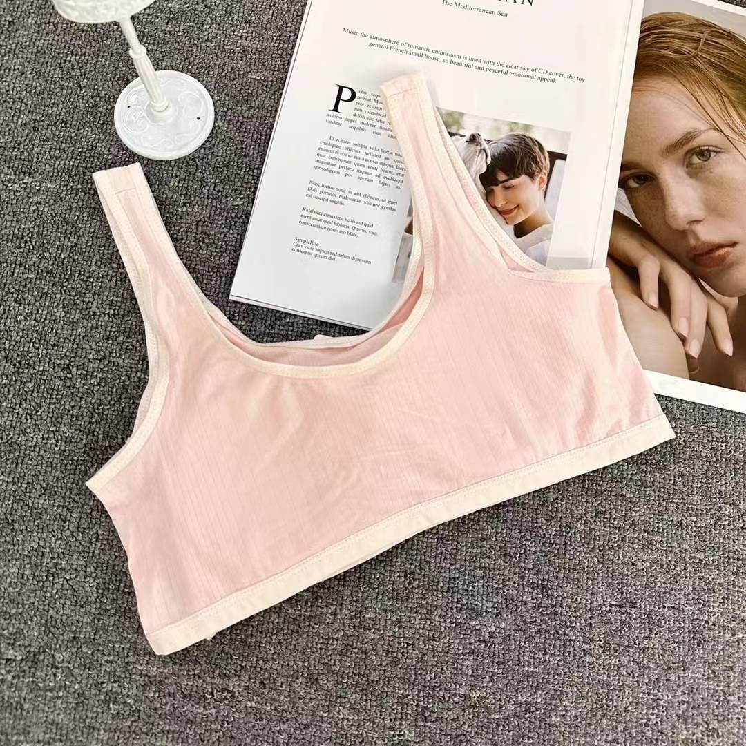 Nueva taza fija sin costuras hermosa espalda sin anillo de acero ropa interior chaleco chaleco cómodo ropa interior damas base sostén al por mayor
