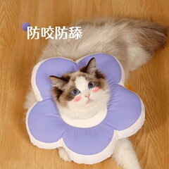 伊丽莎白圈猫绝育项圈防舔除跳蚤英短猫咪脖圈颈圈头套狗宠物用品