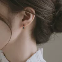 925 Серебряная игла двойное бриллиантовое кольцо для серег изысканные маленькие легкие Роскошные серьги холодный стиль Японский и корейский простые украшения для ушей женские