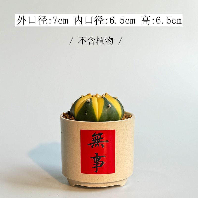 白い多肉盆の越境創意デスクトップ置物現代家庭園芸サボテン緑植植木鉢はロゴを印刷できます。|undefined