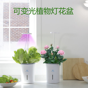 ���R�dֲ���������Ʒ���s����Gֲ�[�������Ԅӝ�ˮ�������辰