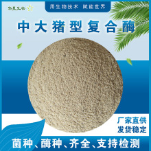 华星生物 中大育肥猪复合酶 猪用生物酶制剂 养殖饲料添加剂原粉