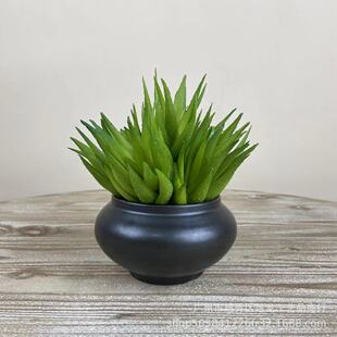 ����ʽ������ʽ����ǢՄ���Ӱ��g��ו������滨ƿܛ�b�b�Ʒ�[��