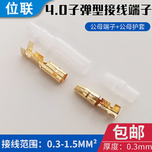 �ӏ���4.0��ĸ���Ӷ���늾��S�~�B���^����B�����o��100ֻ���Ͳ�