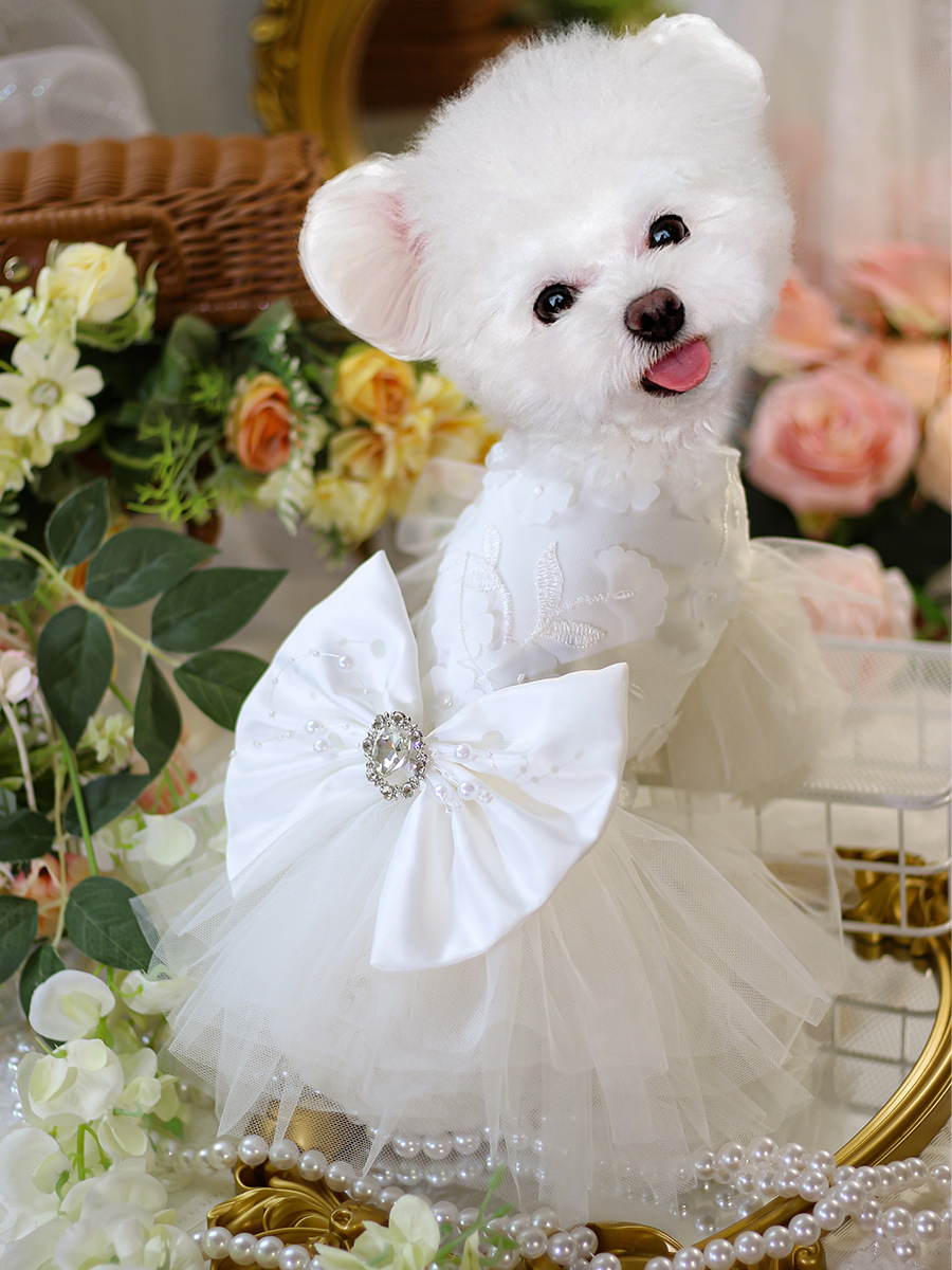 강아지 DOWRY 원피스 봄과 가을 여름 얇은 애완 동물 웨딩 원피스 고양이 공주 원피스 웨딩 원피스