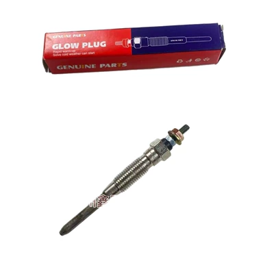 Plug, glow plug