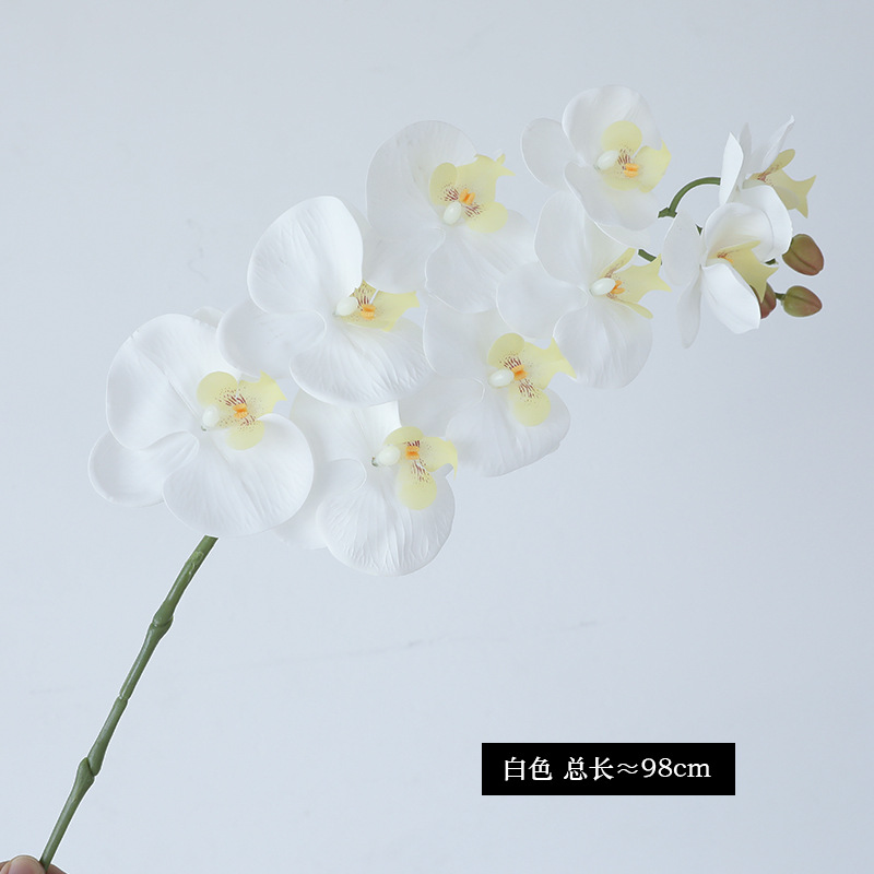하얀색