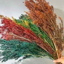 ����ǧ�ӽ�ɻ��Gɫǧ�ӽ����~����ļҾӲ廨�b�Y����ܛ�b