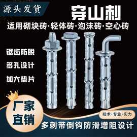 泡沫砖轻体砖专用倒刺空心砖加气块鱼鳞拉爆穿山刺胀栓砌块砖手拧
