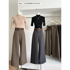高级感西装裤女春秋季2025新款高腰显瘦休闲垂感直筒拖地阔腿裤子