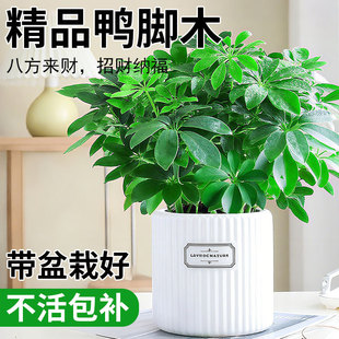 �˷���ؔ�������_ľ�����ļ��������滨���辰�lؔ�������ļ�����