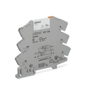 857-304 relay module; rated input voltage: 24 VDC; 1 changeover contact; gray