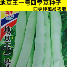 ضһ̖ǷN oļ˶ v۰ɏN