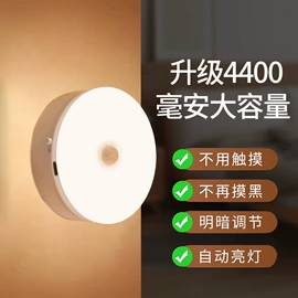 小夜灯;阅读台灯;庭院灯